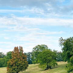 22-09-10 18-21-45 1984